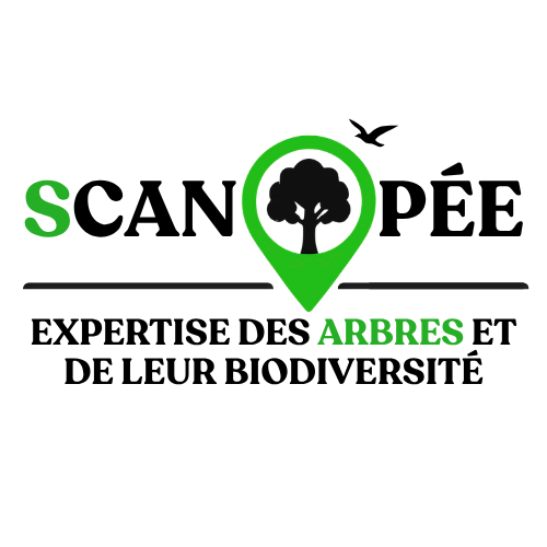 SCANOPÉE